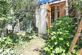 niwacoya2015.jpg